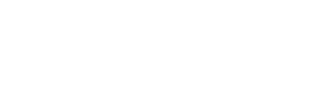 logo-fleetheroes. red-white(1000 x 350 px)